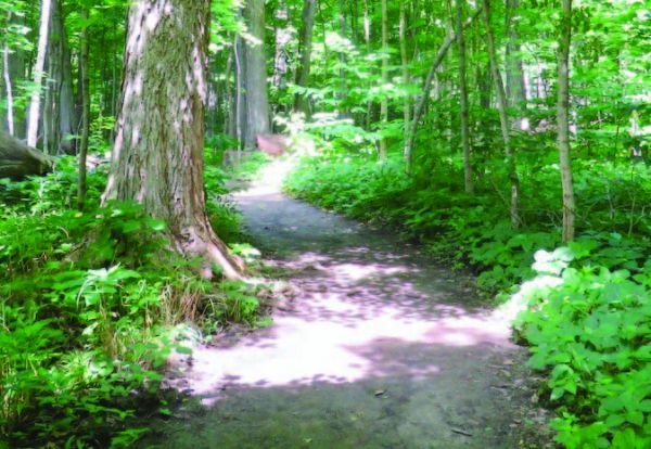Greenways Brochure