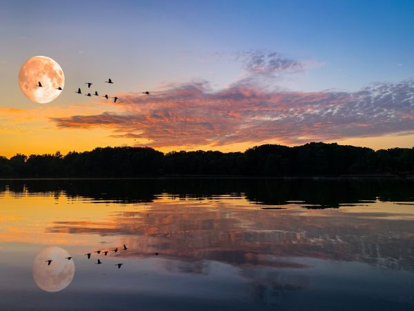 Baird_Dawson Lake_Landscape