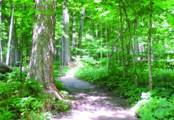 ParkLands Foundation Earth Day Volunteer Challenge