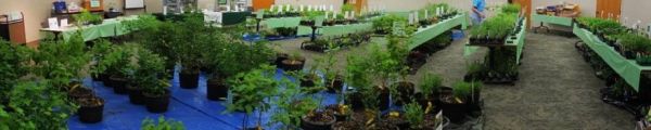 Wild Ones Native Plant Sale