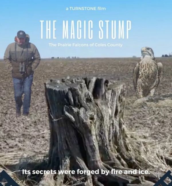 The Magic Stump - A Documentary about raptors in Central IL