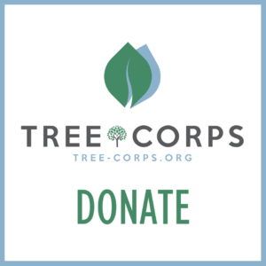 Tree Corps