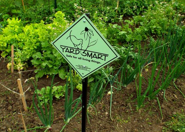 Yard Smart: Eco-friendly yard maintenance