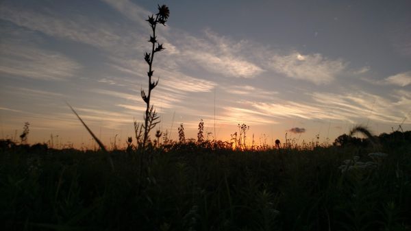 Nature Trails Day at Sugar Grove