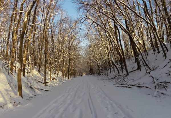 Winter 2015