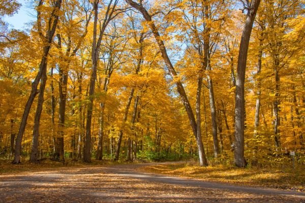 National Trails Day Celebration