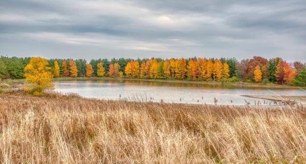 Landscape_Evergreen_F2018_JK10